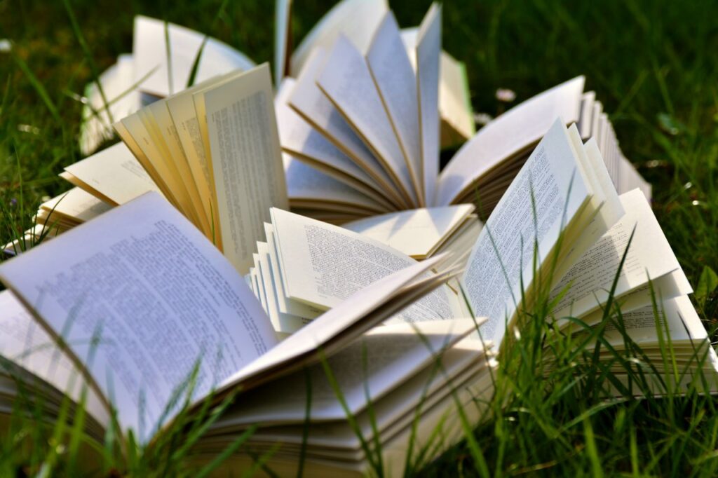 About - Empowering Future Leaders Through Education An artistic arrangement of open books in a grassy field, emphasizing a love for outdoor reading.